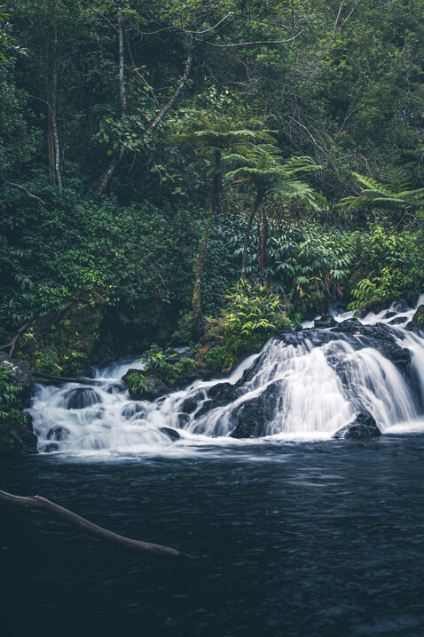 torrent