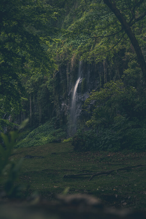 cascade verdure