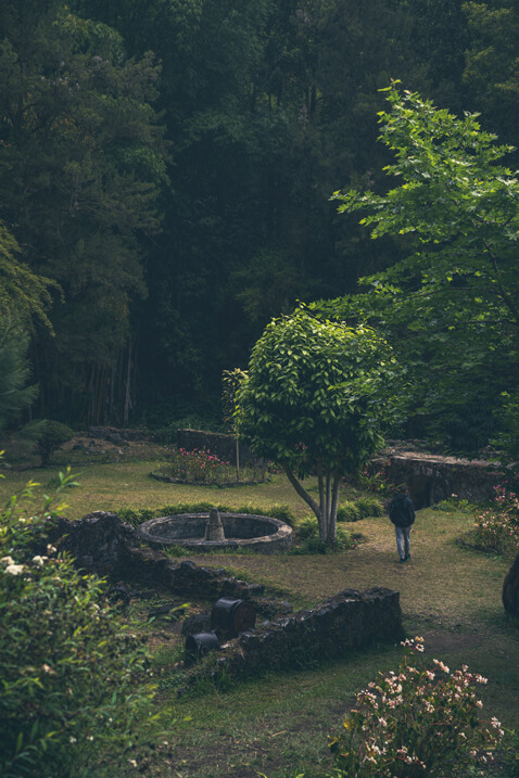 jardin