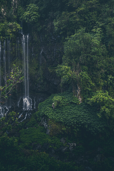 verdure cascade
