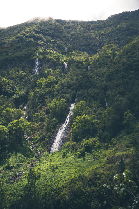 cascade voile mariee