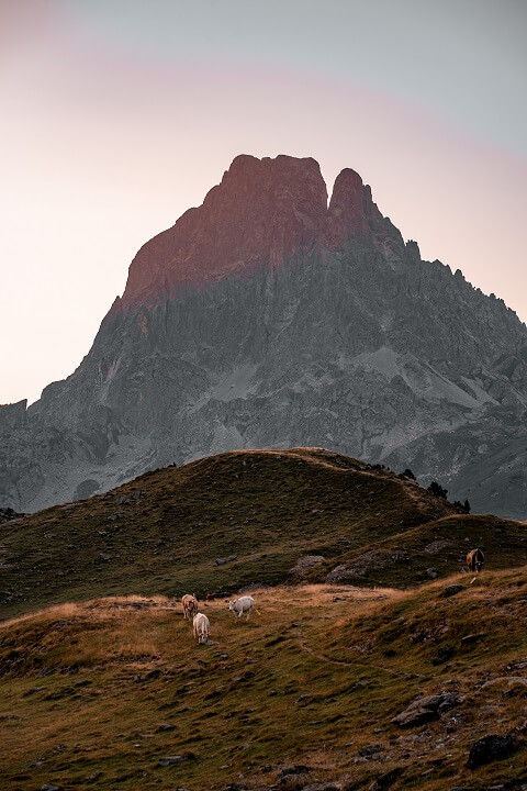 pic ossau