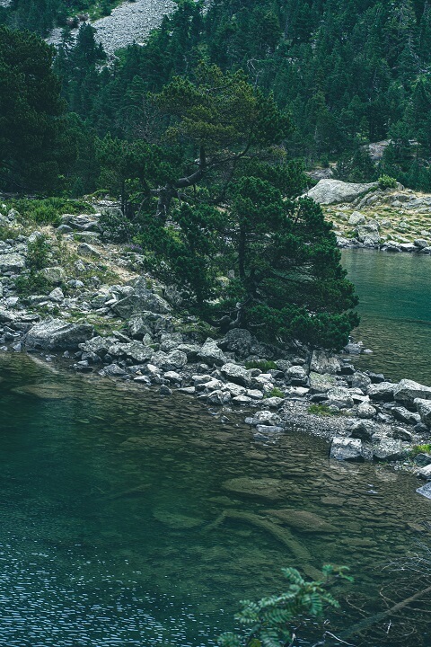 zoom sur le lac