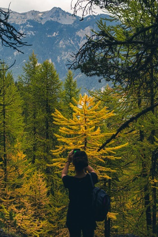 femme foret meleze