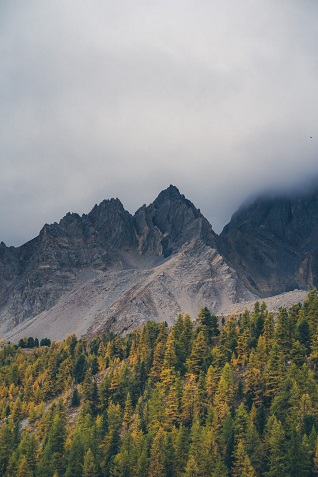 montagne et foret