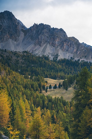 vue lac montagne foret