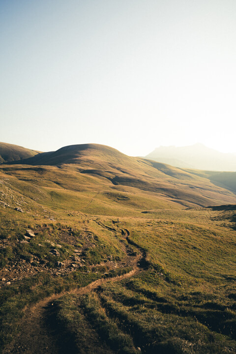 chemin prairie