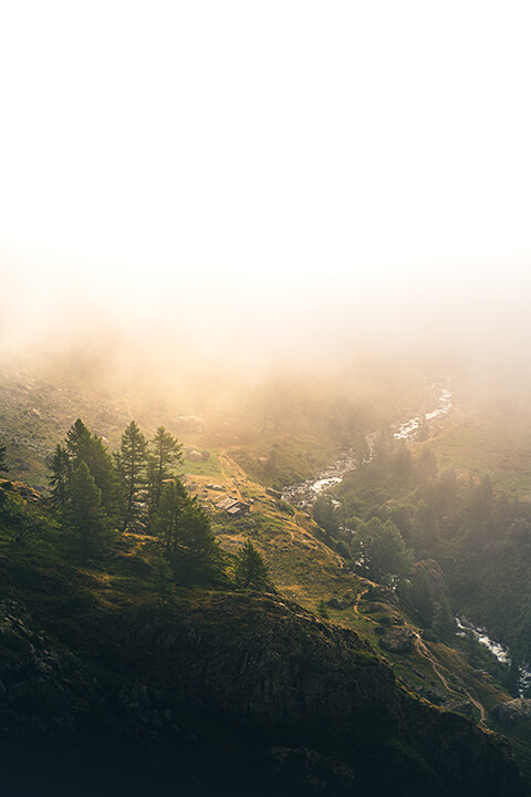 brume foret