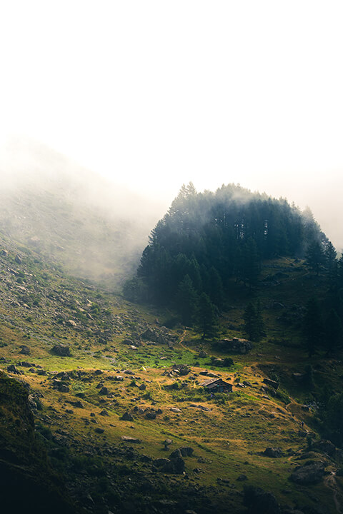 brume maison