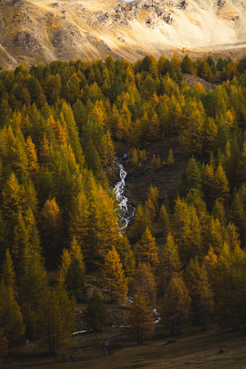 vue sur cascade dans foret