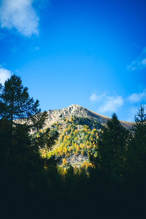 montagne cache par foret