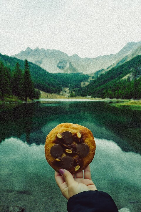 pause gouter nature cookie