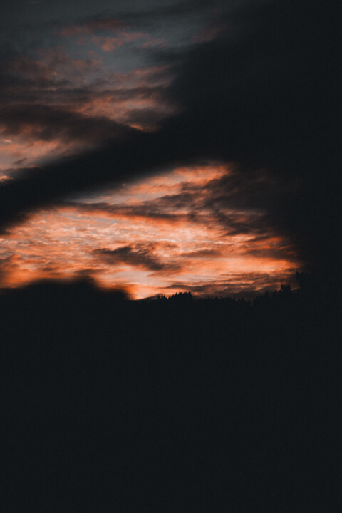 fin sunset