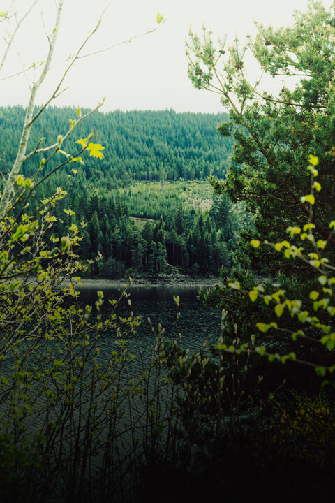 lac