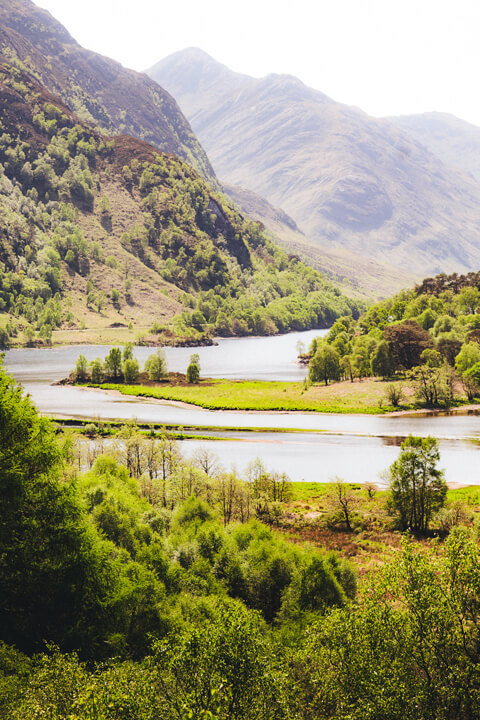 paysage
