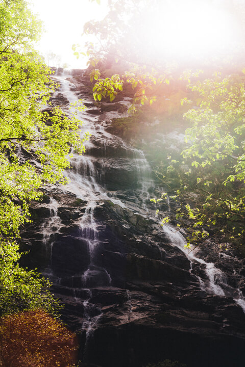 cascade proche
