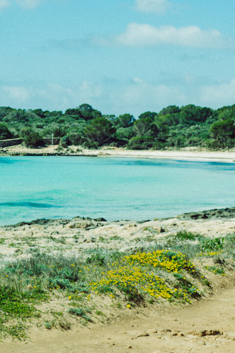 marche