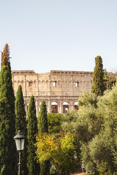 architecture colisee