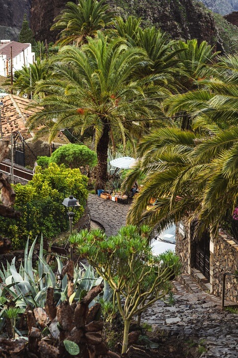 marché village de masca