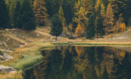 miroir